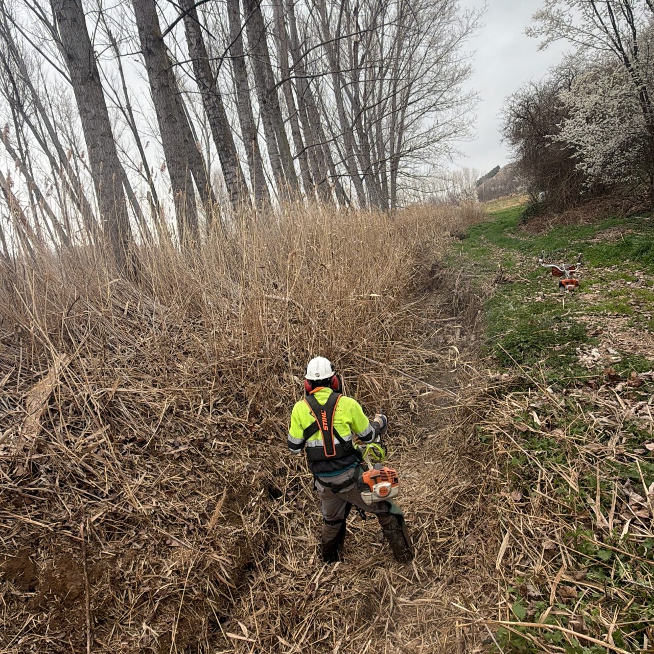 Desbroces de acequias ,canales y caminos