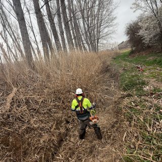 Desbroces de acequias ,canales y caminos